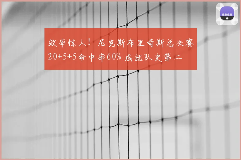 效率惊人!尼克斯布里奇斯总决赛20+5+5命中率60% 成就队史第二